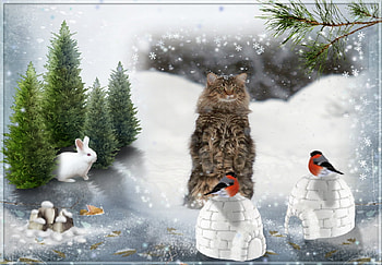 Cat on a lookout, winter, white, birds, framed, cat, bunny, abstract, snow, green, trees HD wallpaper