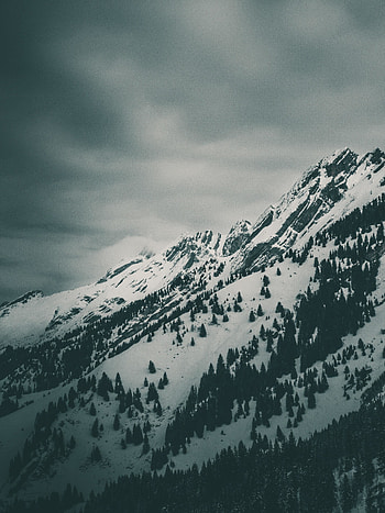 Hills, winter, nature, landscape HD phone wallpaper
