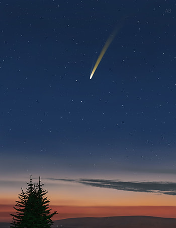 Sunset, Art, Stars, Starry Sky, Spruce, Fir, Comet HD phone wallpaper