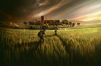 2018, wheat farm, Tom Clancy's Rainbow Six Siege HD wallpaper