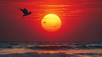 Breathtaking Beauty Birds And Sunset In Harmony, sunset, sunrise, morning, artist, artwork, digital-art HD wallpaper