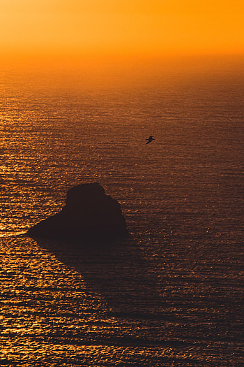 Nature, Sunset, Sea, Rock, Glare, Gull, Seagull HD phone wallpaper