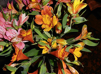 Flowers, Leaves, Shine, Light, Alstroemeria, Bouquet HD wallpaper