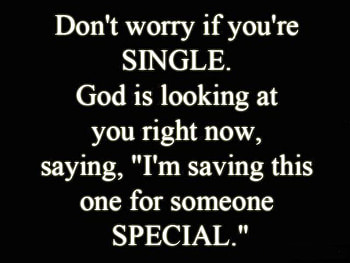 Being Single (Don t Worry...), fun, text, , being single, motivation HD wallpaper