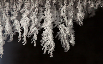 Snow, Snowflakes, Macro HD wallpaper
