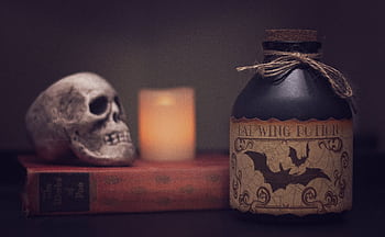Spooky still life with skull, bat potion bottle, candle, and book. HD wallpaper