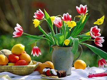 Plants, Flowers, Tulips HD wallpaper