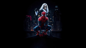 Spiderman X Black Cat, spiderman, black-cat, superheroes, artwork, art, digital-art, ai HD wallpaper
