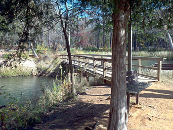River Bridge, bridge, river, rivers, tree HD wallpaper
