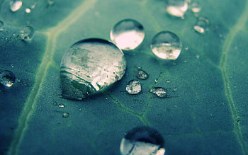 Drops, Macro, Surface, Veins HD wallpaper