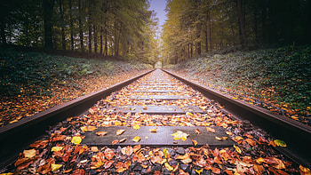 Railway Track, railroad, track, nature, graphy HD wallpaper