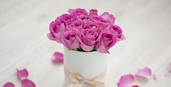 Flowers basket, pink roses HD wallpaper