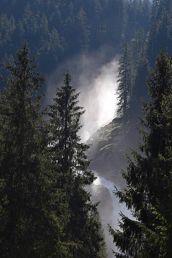 Nature, Rivers, Trees, Forest, Fog, Spruce, Fir HD phone wallpaper
