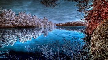 Forest river, Pond, Forest, Trees, Lake, Reflection, Clouds HD wallpaper