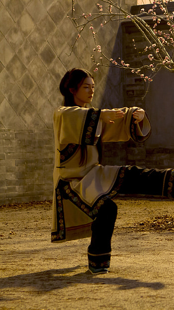 Crouching Tiger, Hidden Dragon, Sword of Destiny, Michelle Yeoh, Best movies 2016 HD phone wallpaper