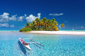 South sea, island, boat, palm tree, France HD wallpaper