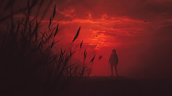Alan Wake 2 2024, alan-wake-2, pc-games, ps5-games, xbox-games, 2024-games, games, video-games HD wallpaper