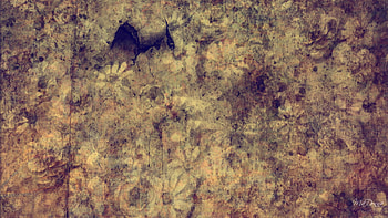 Ripped and Torn, dirty, grungy, , torn, paper, grunge HD wallpaper