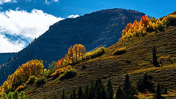 Aspens over Slate River, Colorado, clouds, trees, autumn, sky, usa HD wallpaper
