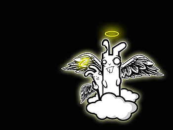 Funny, Angels HD wallpaper