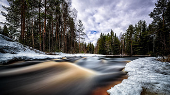 Rzeka, Las, Zima, Snieg HD wallpaper