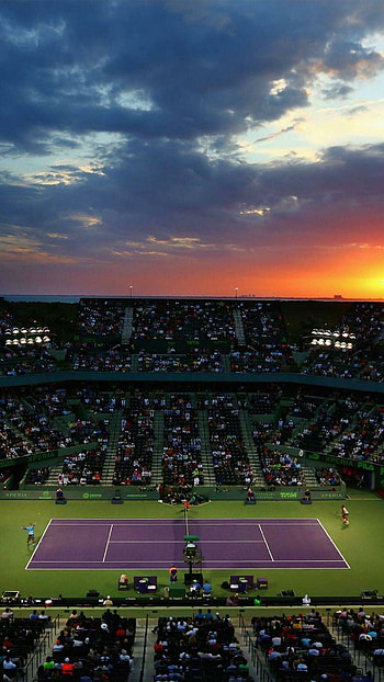 Miami Open, Tennis HD phone wallpaper