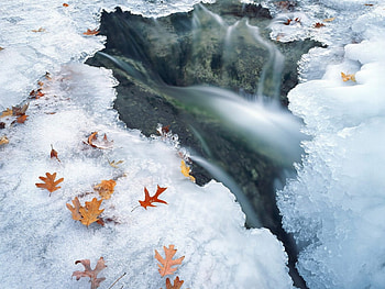 ICE STREAM, iceberg, dead leaves HD wallpaper