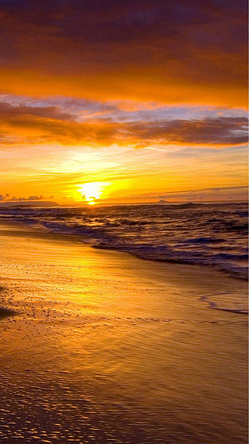 sunset , Vibrant hues, Stunning silhouettes, Evening glow HD phone wallpaper