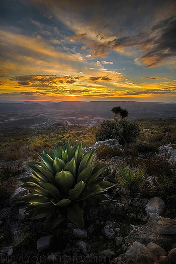 Mexico landscape, Stunning vistas, Tranquil settings, Captivating beauty HD phone wallpaper