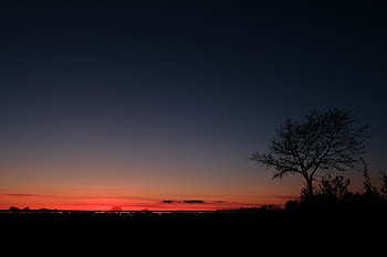 Sunset, Sky, Night, Horizon, Dark, Wood, Tree HD wallpaper