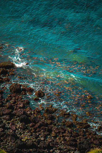 Nature, Stones, Sea, Waves, Coast, Surf HD phone wallpaper