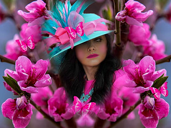 Perfectly Pink Ladies 8, vibrant, vivid, bright, bold, kentucky derby, blue, colorful, black, girl, pink, flowers HD wallpaper