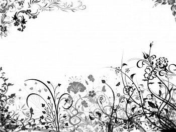 In White Floral , white, black, abstract, floral, flowers HD wallpaper
