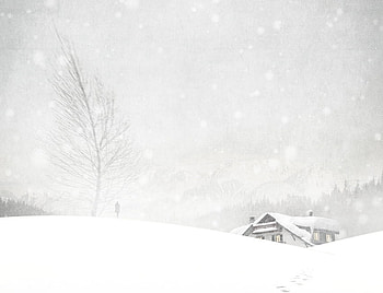 WINTER, season, digital, graphy, snow, house, cold, tree HD wallpaper