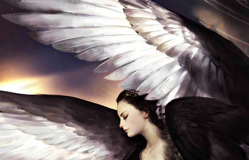 Angel, wings, white, black, girl, beauty, woman, feather, fantasy, creature HD wallpaper