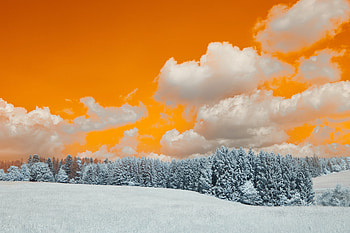A Snow Covered Field With Trees Under A Cloudy Sky, clouds, snow, trees, winter, nature HD wallpaper