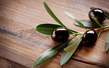 Olive , quality, Elegant backdrop, Earthy tones HD wallpaper