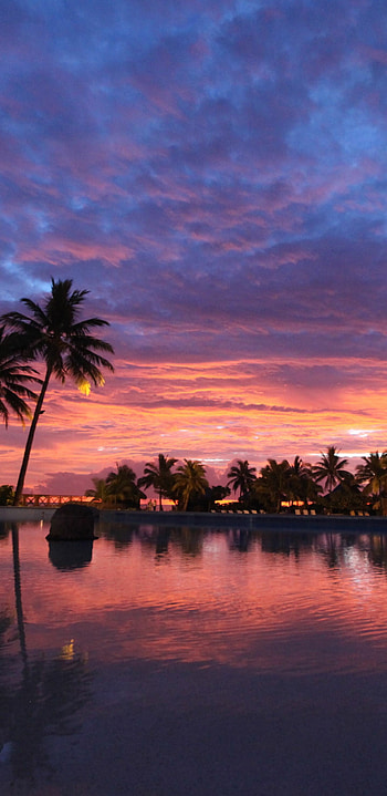 Bora Bora sunset , Beautiful backgrounds, Tropical paradise, Stunning sunsets HD phone wallpaper