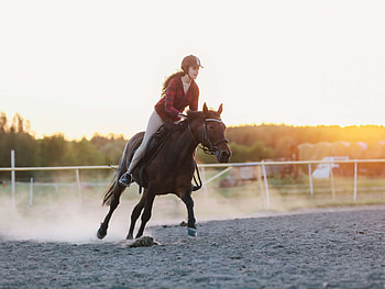 Supporting horse riding, Community of equestrians, Panache lingerie partnership, Empowering equestrians HD wallpaper