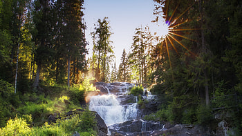 Waterfall, Cascades, Stones, Trees, Sunlight, Bushes, Rocks, Stream, Forest, Scenery Nature HD wallpaper