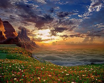 Fantasy place, place, fantasy, flower, sky, dream HD wallpaper