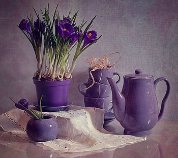 still life in purplе, purple, life in purple, life, beautiful, still HD wallpaper