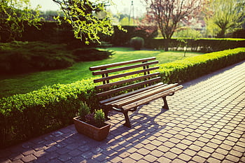A peaceful wooden bench in a sunlit garden surrounded by lush greenery. HD wallpaper