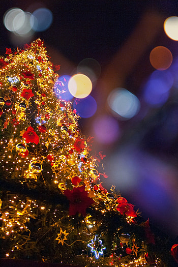 Start the season parade, Festive lighting, Sunset coast Michigan, Holiday celebration HD phone wallpaper