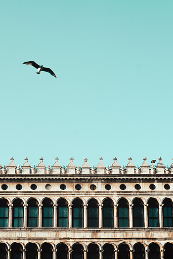 Sky, Building, Bird, Minimalism HD phone wallpaper