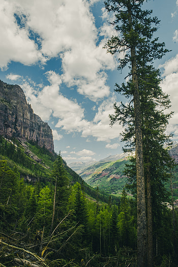 Landscape, Nature, Trees, Mountains, Rocks, Forest HD phone wallpaper