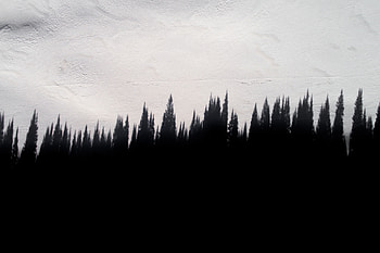 Trees, Texture, Textures, Shadow, Wall HD wallpaper