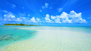 Best Zanzibar beaches, Premier dive center, PADI certified, Beach paradise HD wallpaper