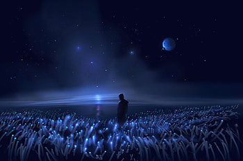 Alone in field, night, dark sky, fantasy HD wallpaper