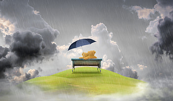 Rain, Love, Teddy Bear, Bench HD wallpaper